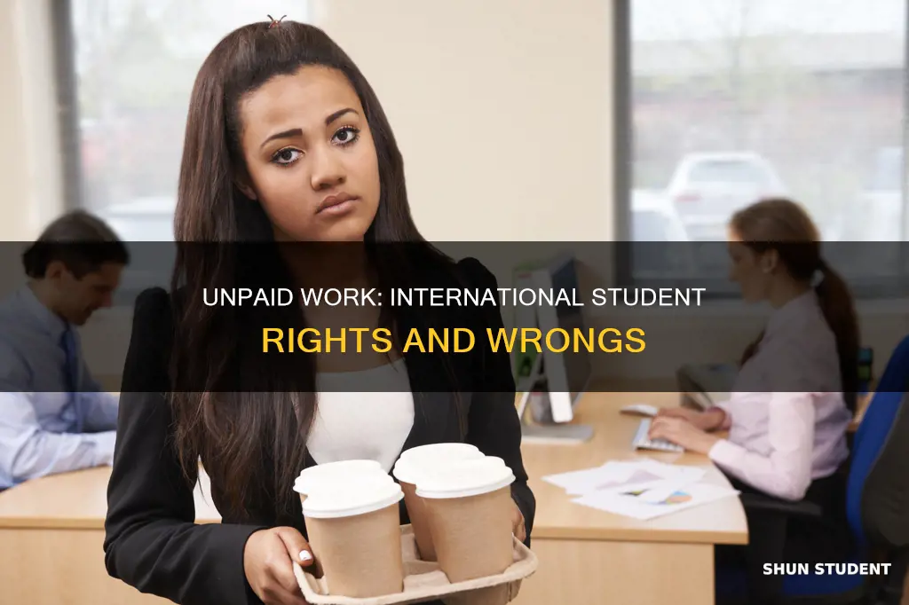 is it illegal to work unpaid as international student