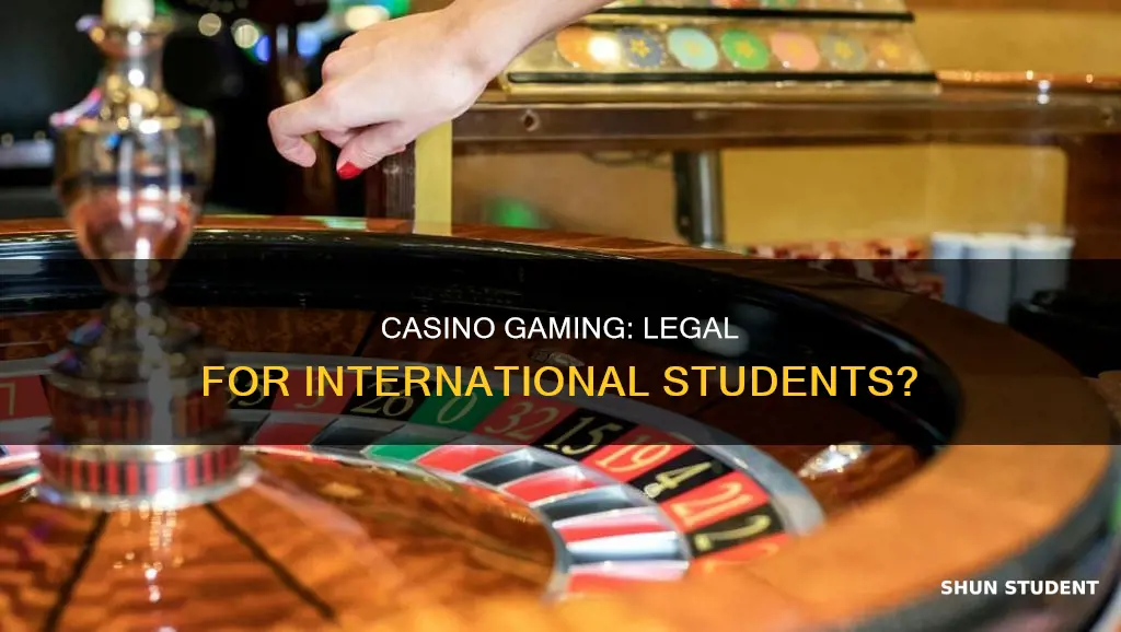 is it legal for international students to play casino