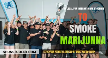 Marijuana Laws for International Students: What's the Deal?