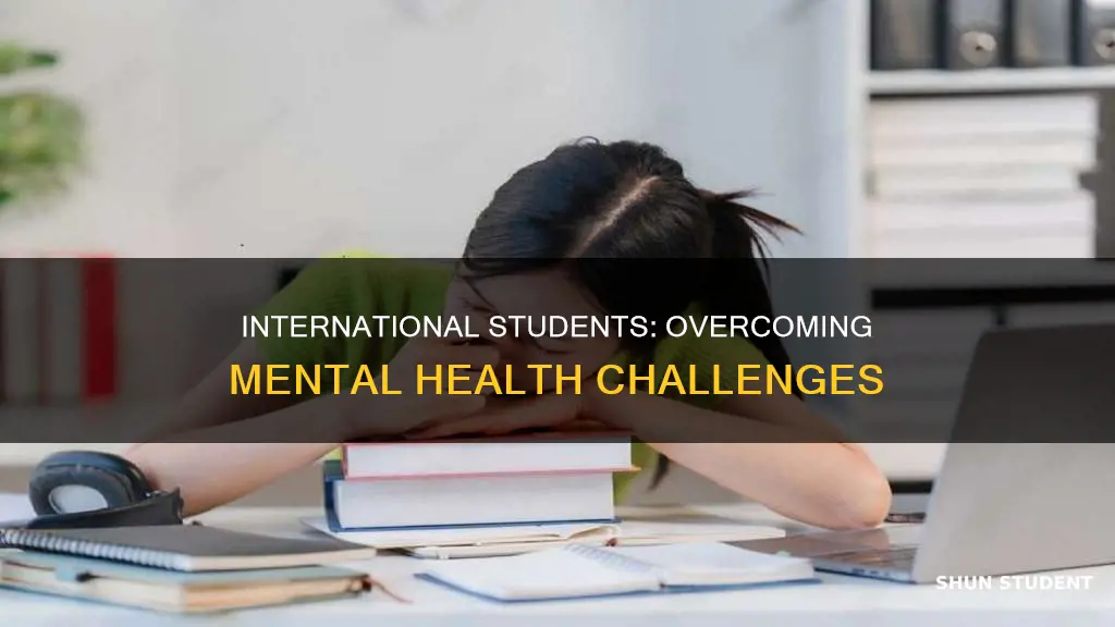 is it normal that international students overcome depression and anxiety
