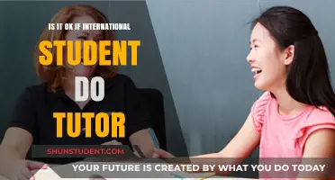Tutoring as an International Student: Is It Allowed?