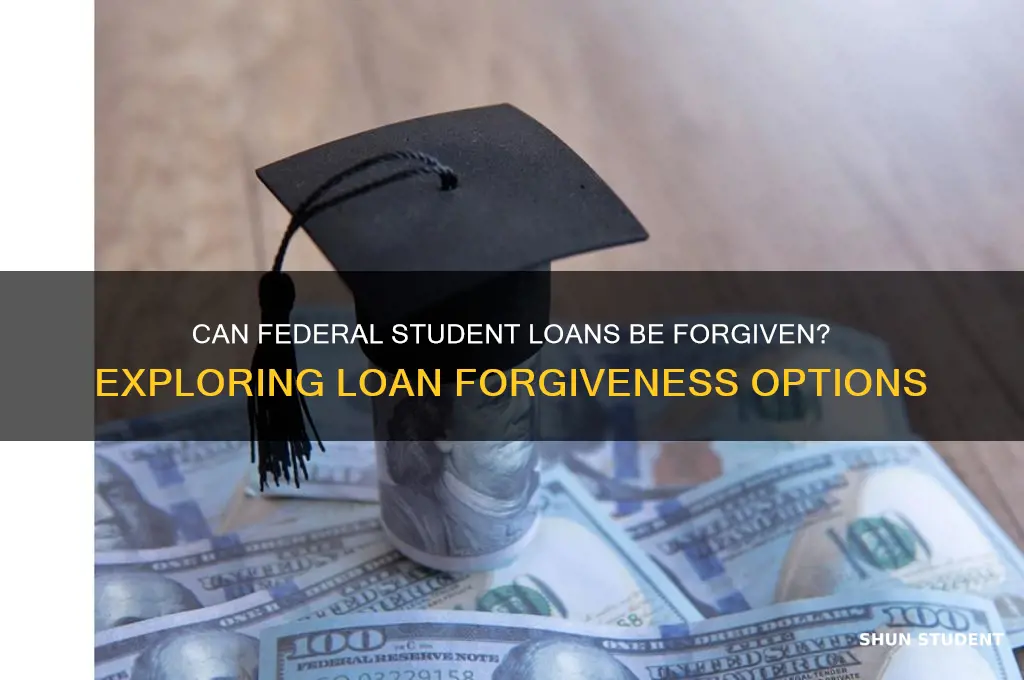 is it possible to have your federal student loan forgiveness