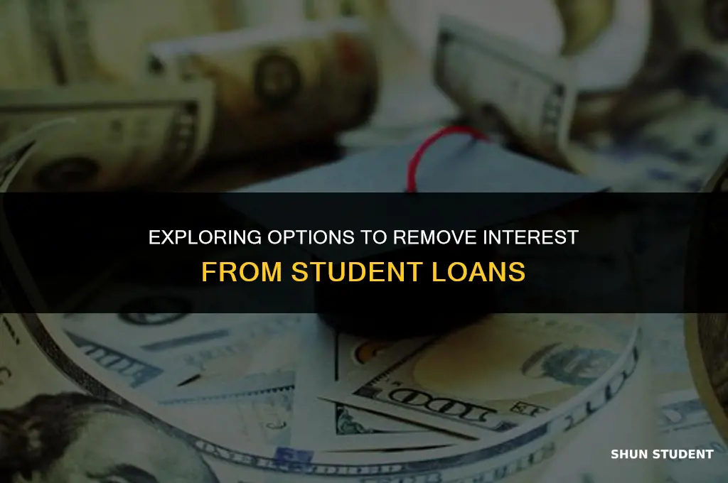 is it possible to remove interest from student loans