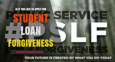 Is It Too Late to Apply for Student Loan Forgiveness?