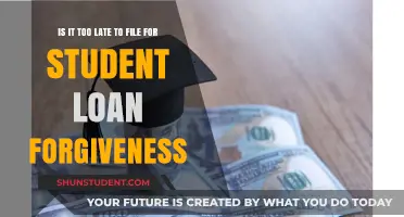 Is It Too Late to File for Student Loan Forgiveness?