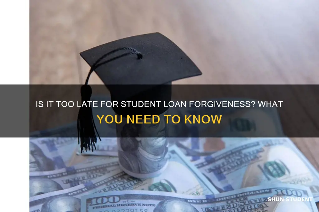 is it too late to get my student loans forgiven