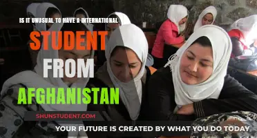 International Students: Afghanistan's Presence in Foreign Universities
