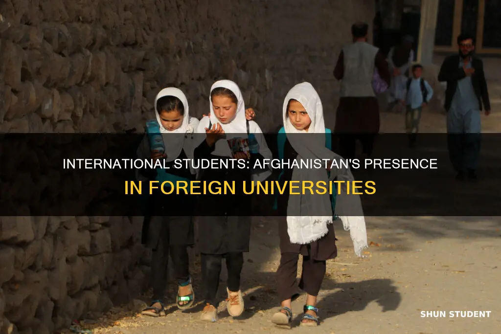 is it unusual to have a international student from afghanistan