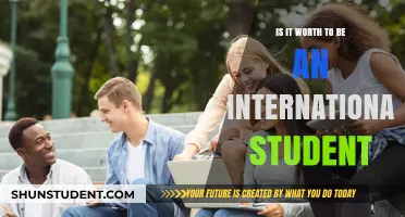 International Student Experience: Is It Worth the Effort?
