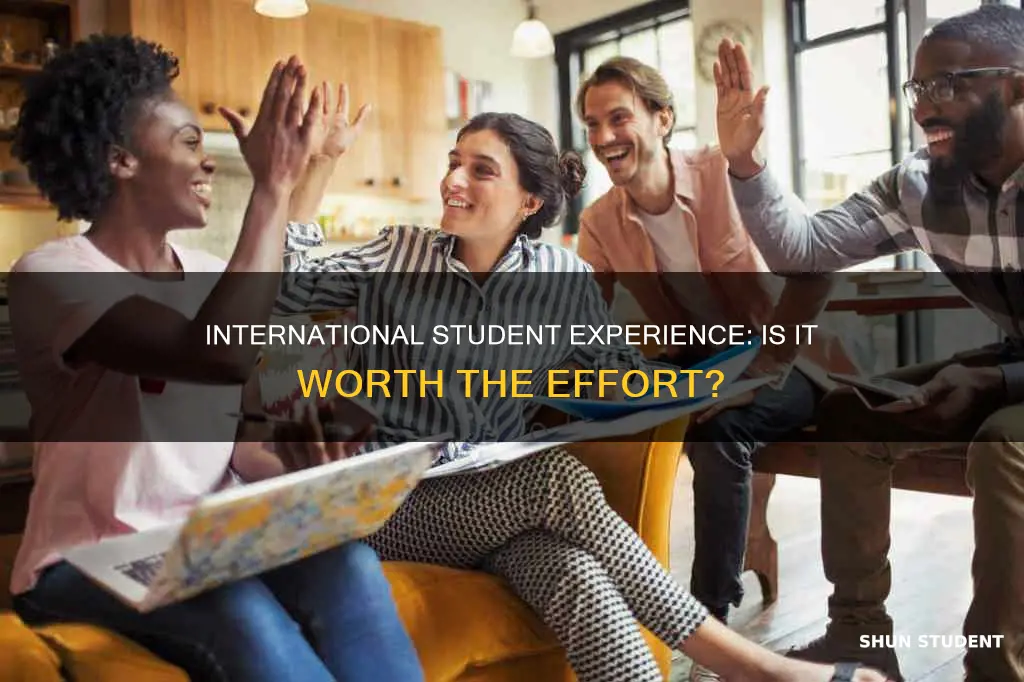 is it worth to be an international student