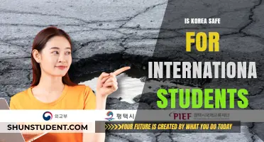 Safety of South Korea for International Students