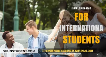 Leuven's International Student Experience: A Good Choice?