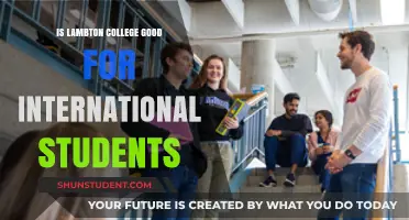 Lambton College: A Great Choice for International Students?