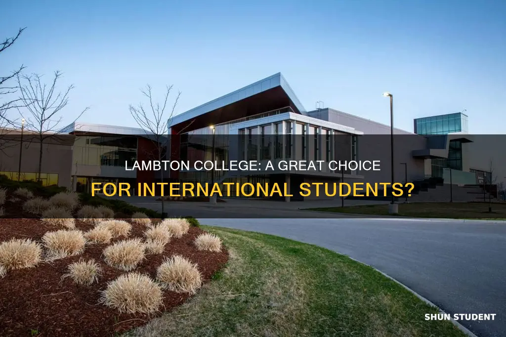 is lambton college good for international students