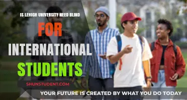 Lehigh University's Need-Blind Policy: International Students Included?