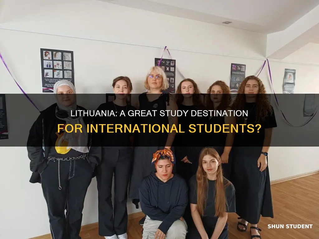 is lithuania good for international students