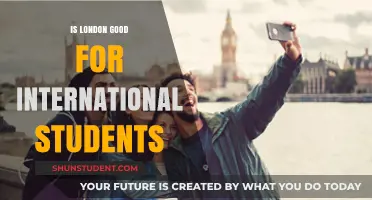 London: A Welcoming Hub for International Students?