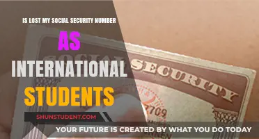 Social Security Number: A Guide for International Students