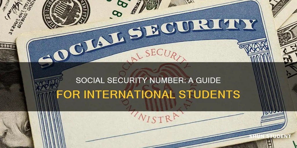 is lost my social security number as international students