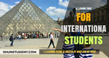 International Students: Free Louvre Access?