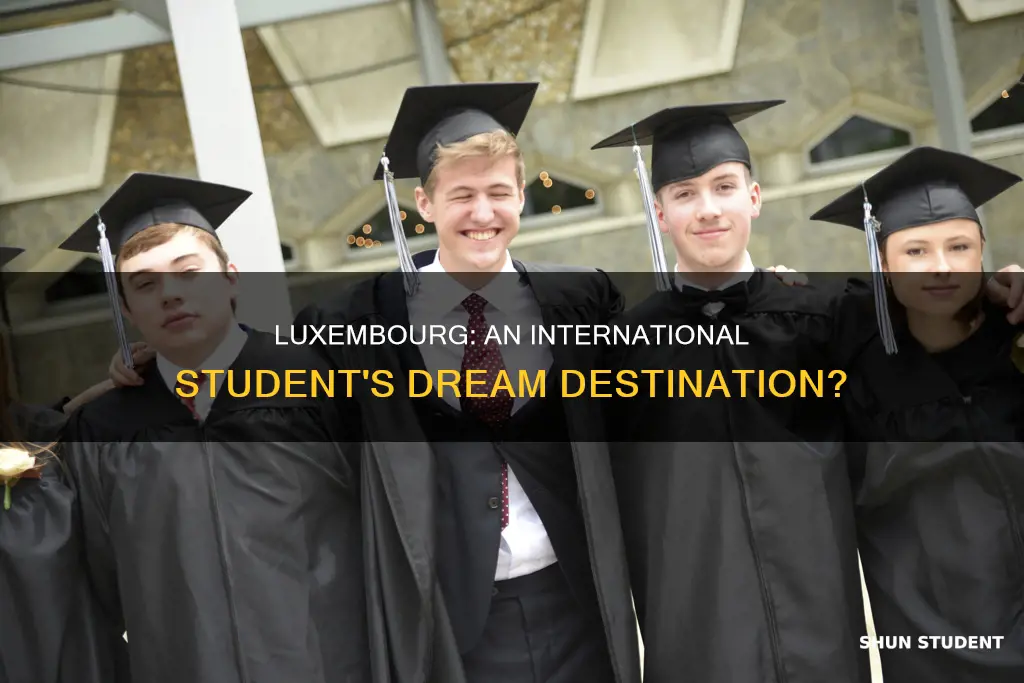 is luxembourg good for international students