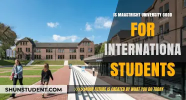 Maastricht University: An International Student's Dream School?