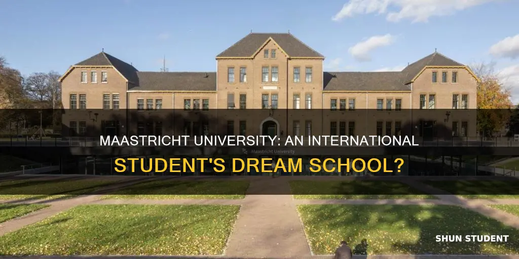 is maastricht university good for international students