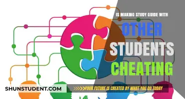 Collaborative Study Guides: Cheating or Effective Learning?