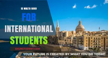 Malta: A Haven for International Students?
