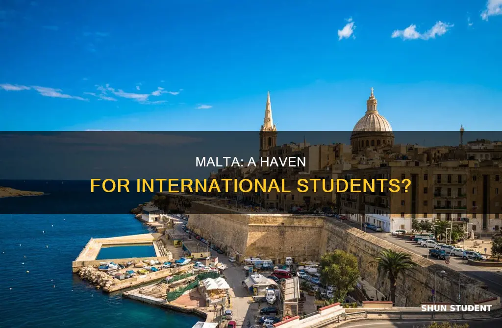 is malta good for international students