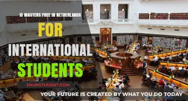 Free Master's in Netherlands: Available for International Students?