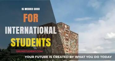 Mexico: A Haven for International Students?
