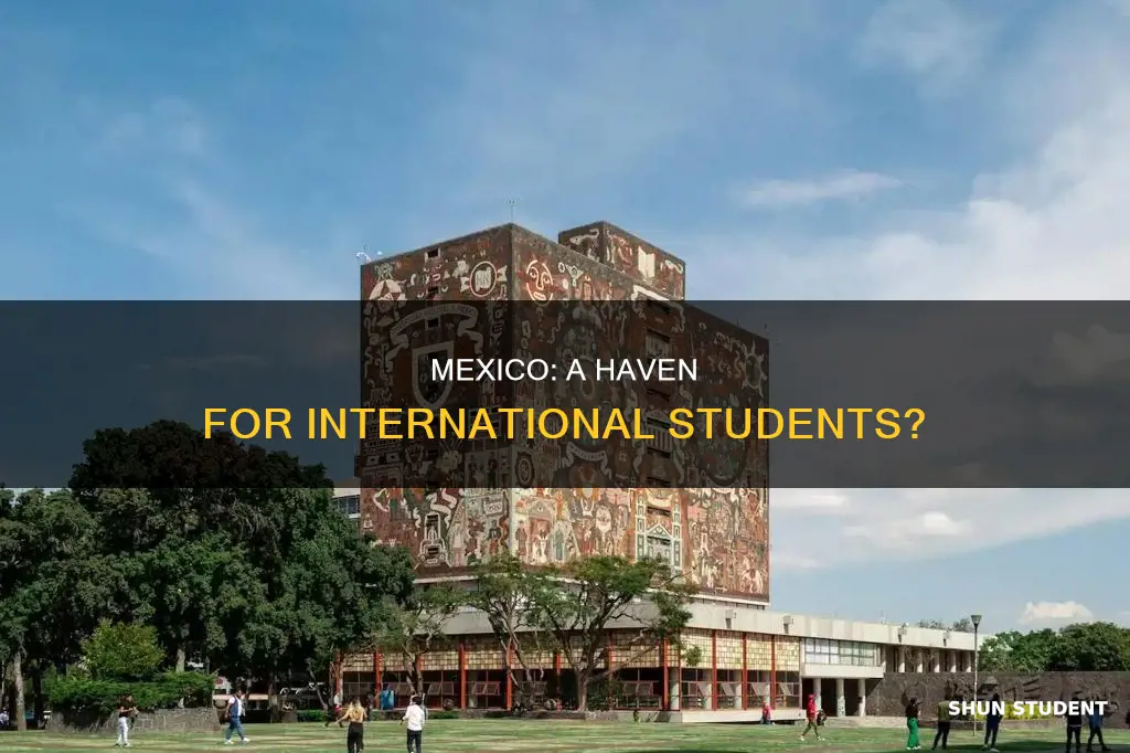 is mexico good for international students