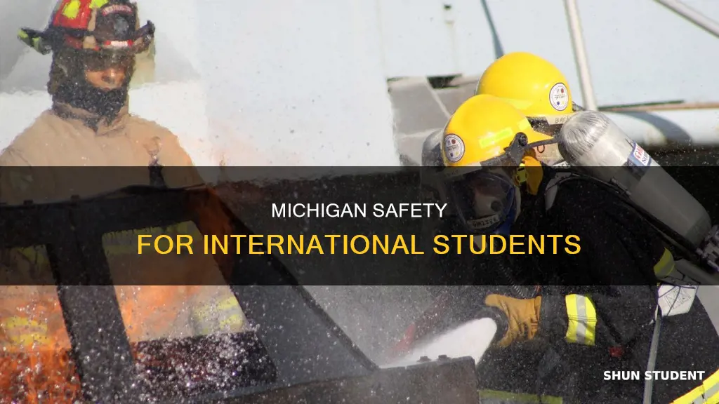 is michigan safe for international students
