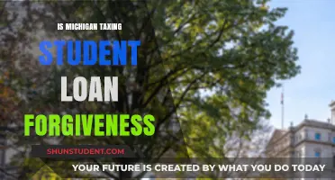 Michigan's Tax Stance on Student Loan Forgiveness: What You Need to Know