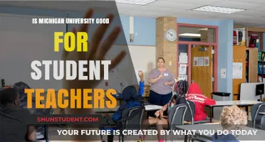Michigan University: A Great Place for Aspiring Teachers?