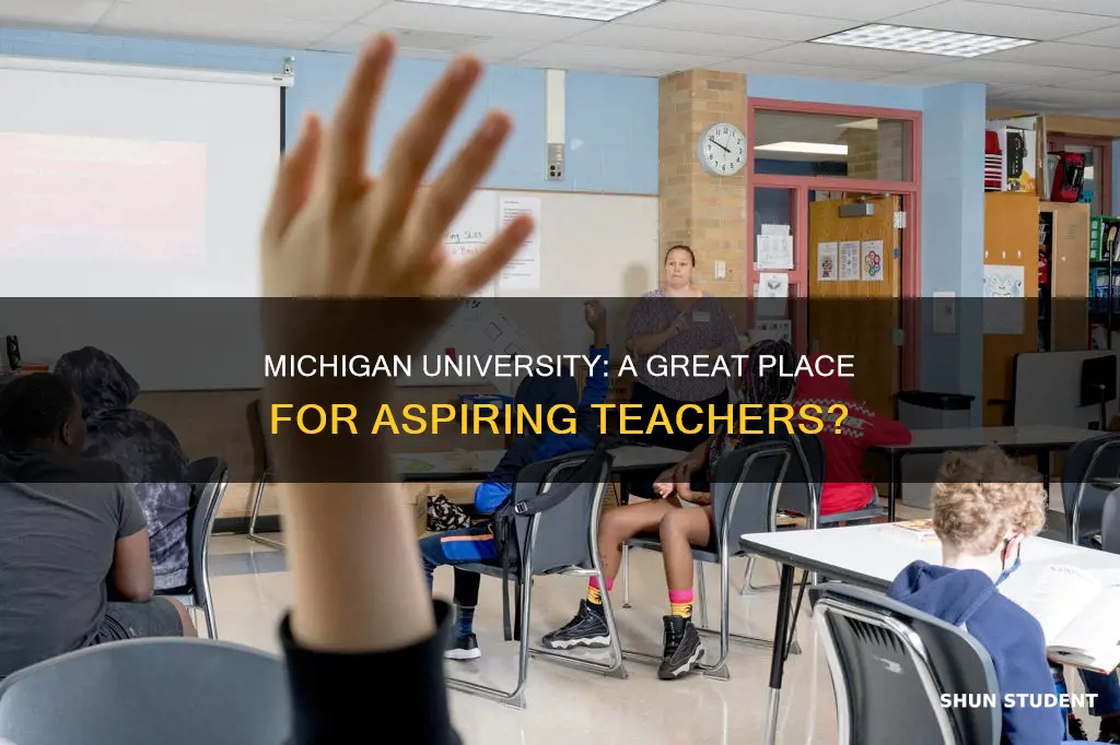 is michigan university good for student teachers