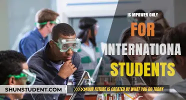 MPower: International Students' Financial Lifeline?