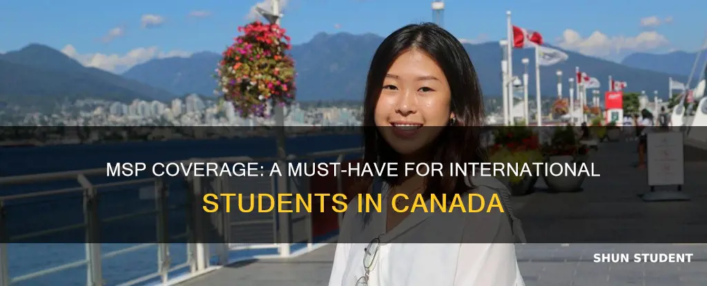 is msp mandatory for international students