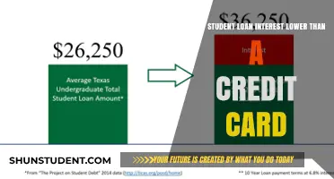 Decoding Debt: Comparing Student Loan and Credit Card Interest Rates
