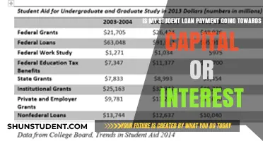 Decoding Student Loan Payments: Capital vs. Interest Breakdown