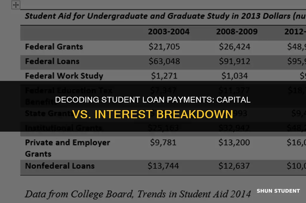 is my student loan payment going towards capital or interest