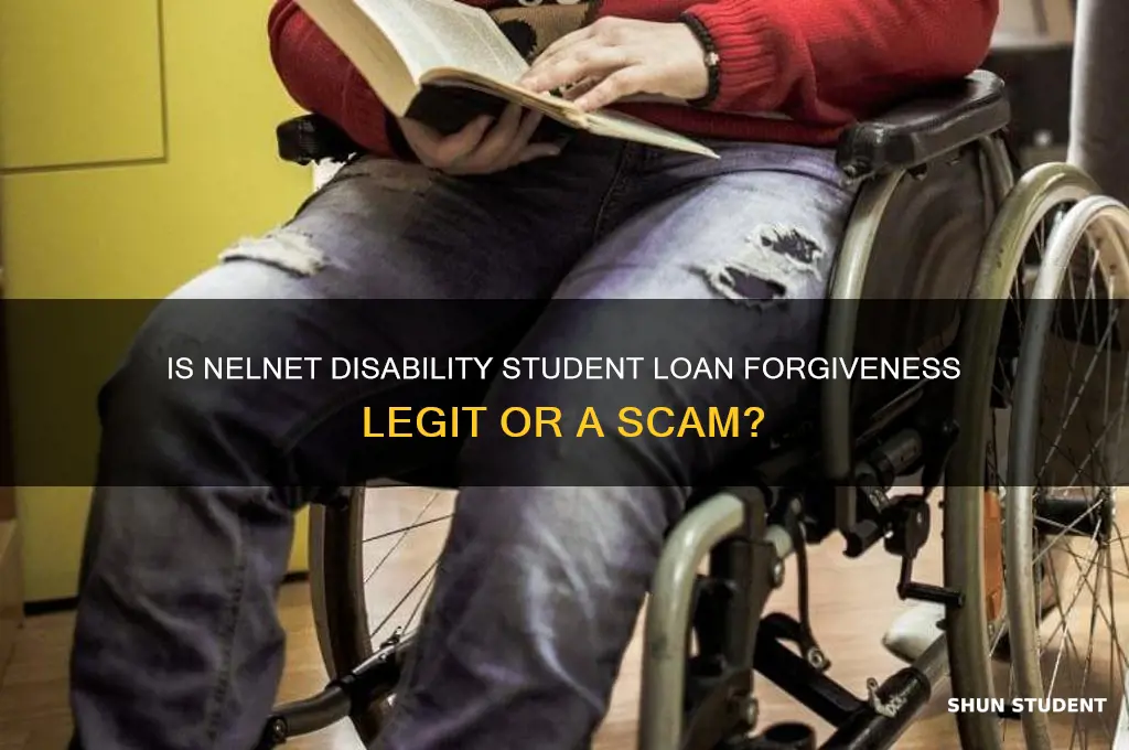 is nelnet student loan forgiveness for disability a scam