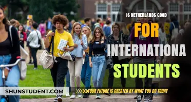 International Students: Why the Netherlands is a Great Choice