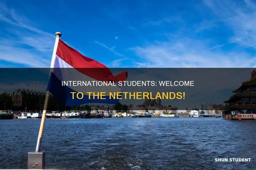 is netherlands open for international students