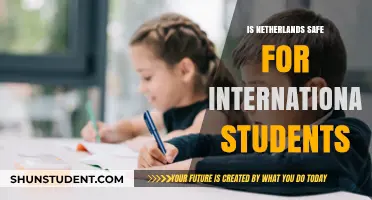 Safety in the Netherlands: A Haven for International Students