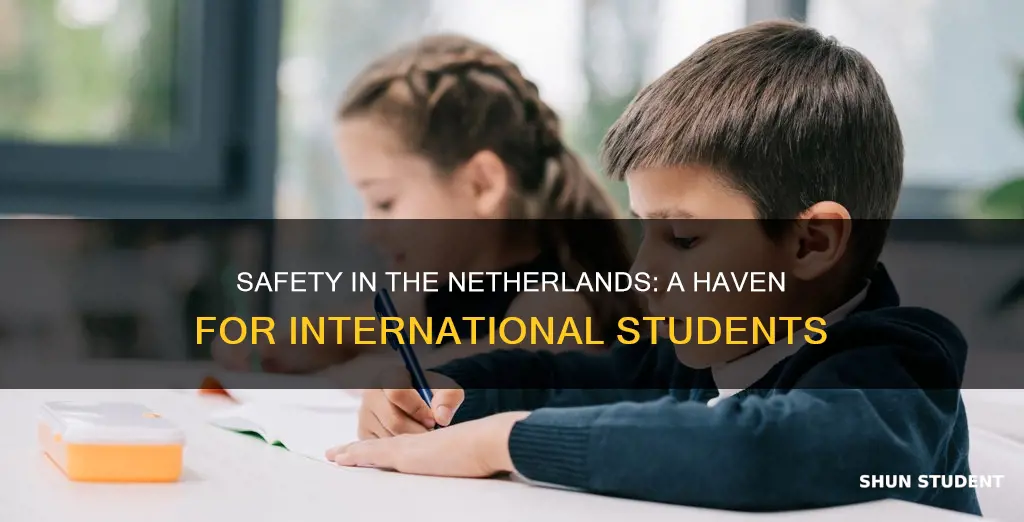 is netherlands safe for international students