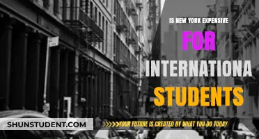The Cost of Living in New York as an International Student