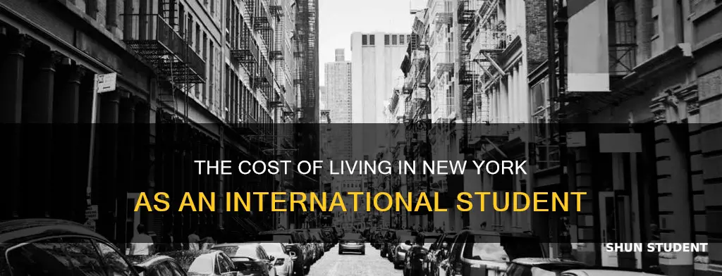 is new york expensive for international students