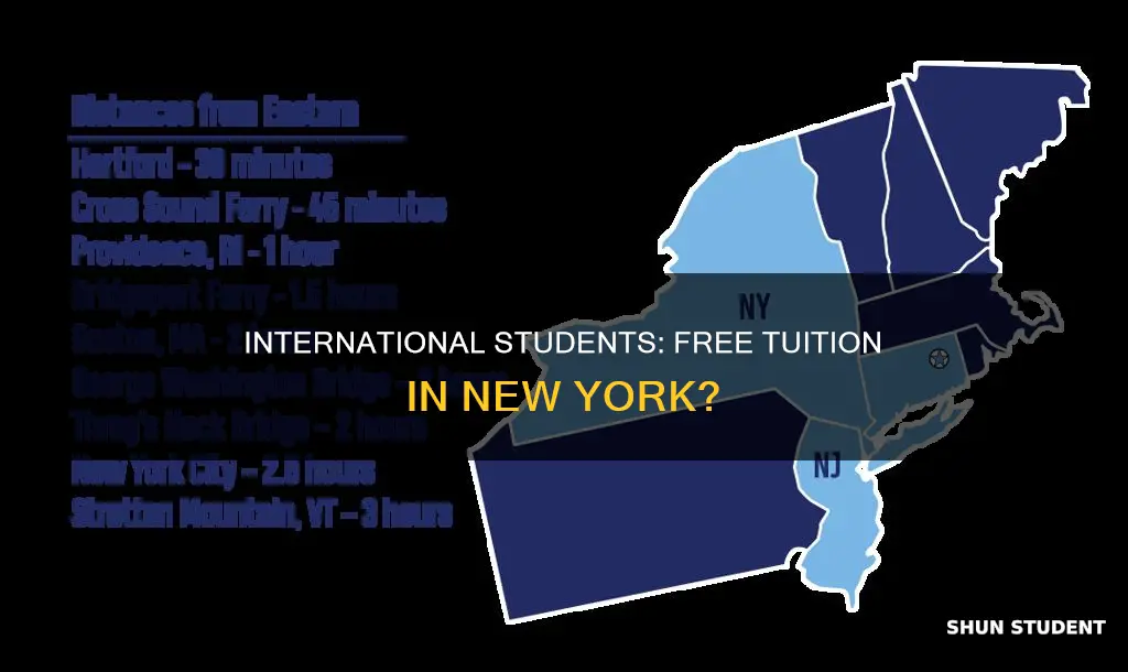 is new york free tuition for international students